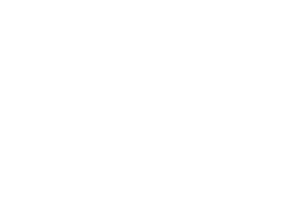 Redundancy-free and load-balanced TGNN training with hierarchical pipeline parallelism